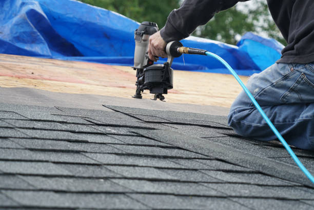 Best Metal Roofing Contractor  in Sand Point, AK