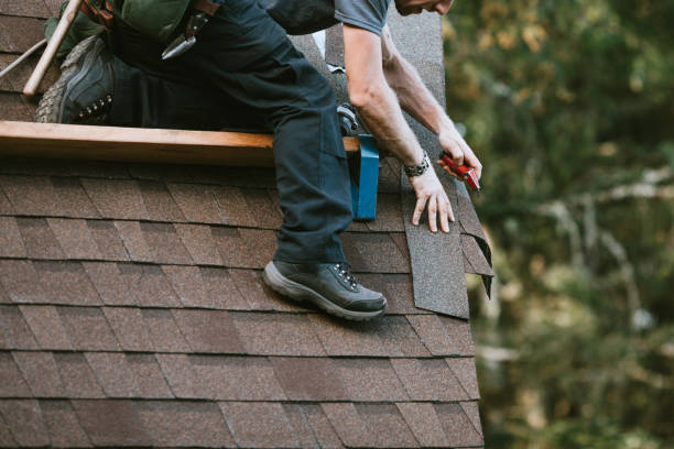 Best Roof Gutter Cleaning  in Sand Point, AK